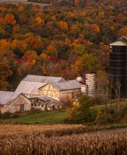 Old Fall
