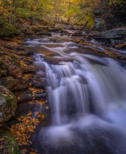 Path Of Fall