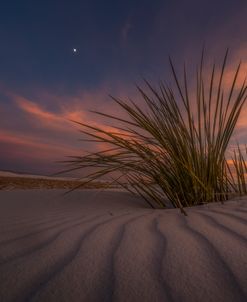 From The Sands