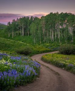 Road To Morning