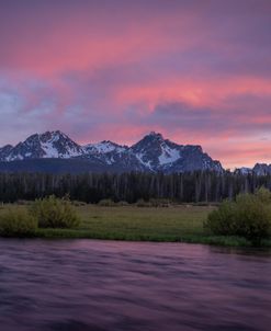 Sawtooth Color