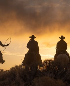Sunset Ride