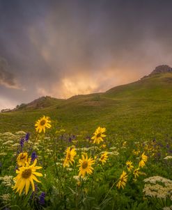 After The Rain