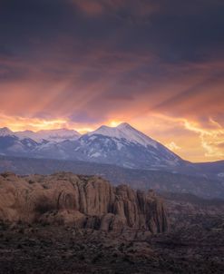 Desert Rays
