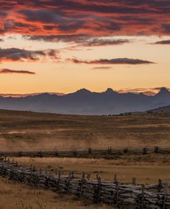 Dusty Fences