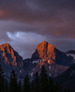 Fresh Light