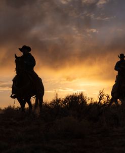 From Darkness We Ride