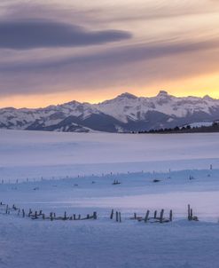From The Snow