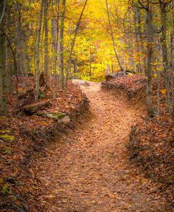 Walk With Me