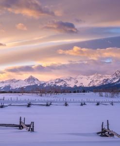 Winter Sky