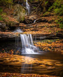 Moving Fall 2