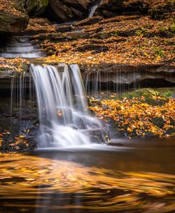 Moving Fall