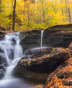 Waterfalls Form