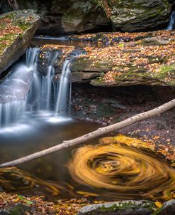 The Fall Pool