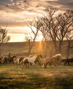At The Ranch