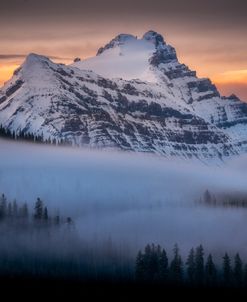 Fog Of Morning