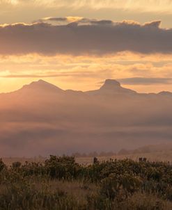 Sunrise Fire