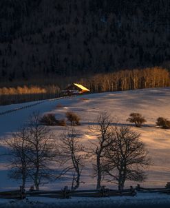 The House In The Snow