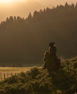 The Way Home