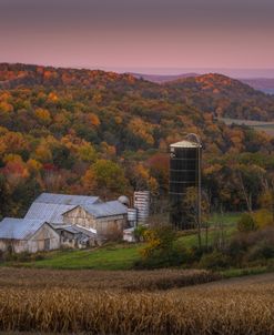 Farm And The Fall