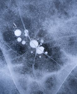 Seeing In Ice