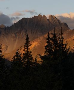 The Trees Of The Mountain