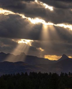 Collected Rays