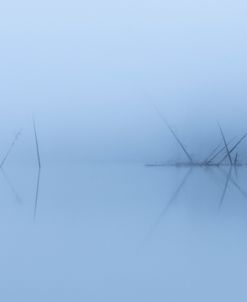 Out Of The Lake