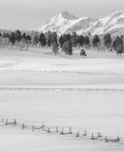 Winter In Black