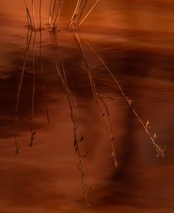 Abstract Waters