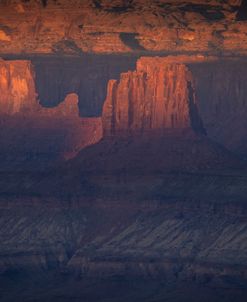 Desert Shadows
