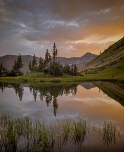 The High Pond