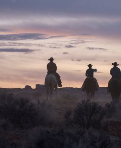 Looking For Cattle