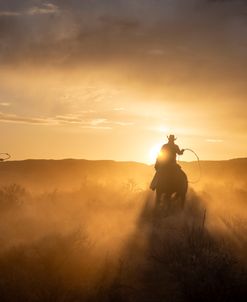 The Dust Of Ride