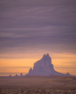 Ship Of The Desert