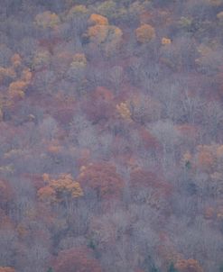 Painted Hill