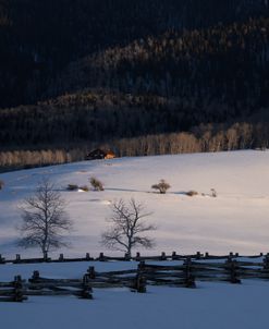 Winter Ranch
