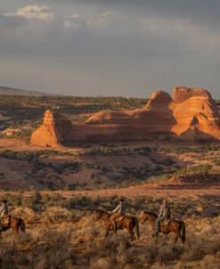 Desert Ranch