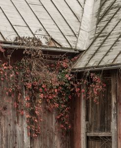 Faded Barn