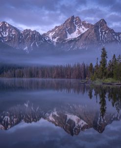 Mountain Mist-2