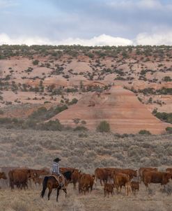 Round Up In The Rocks
