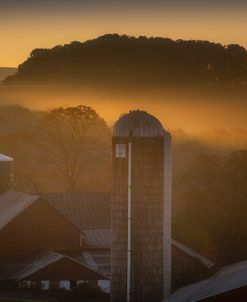 Penn Light