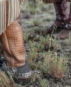 Fancy Boots