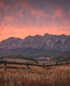Red Fire Fields