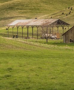 Green Ranch
