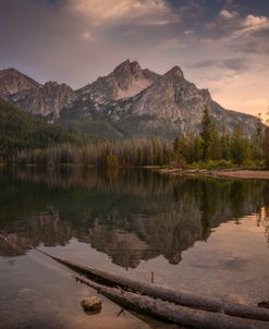 In Through The Lake