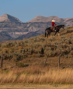 Wyoming Rider