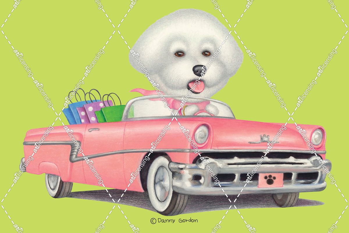 Bichon Frise in Pink Car