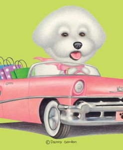 Bichon Frise in Pink Car