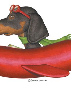 Black Dachshund in Red Plane